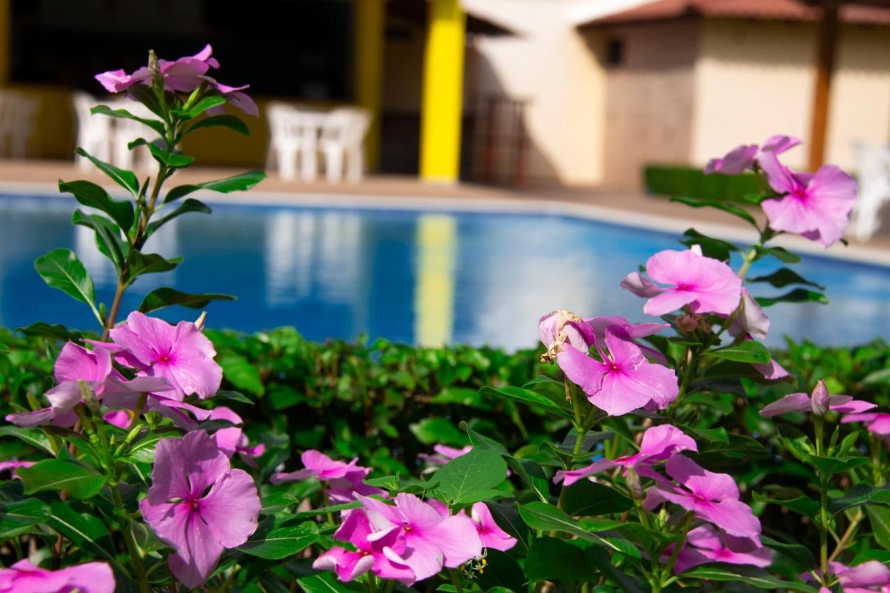 Deluxe Suites Guacamayos - Eco-Lodge & Swimming Pool Bonao Kültér fotó